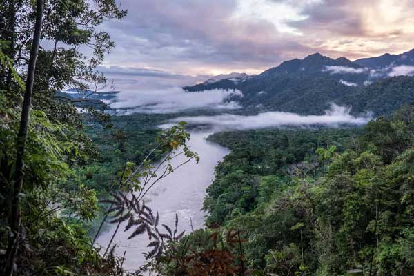   Amazon rainforest in tropical andes of equator 