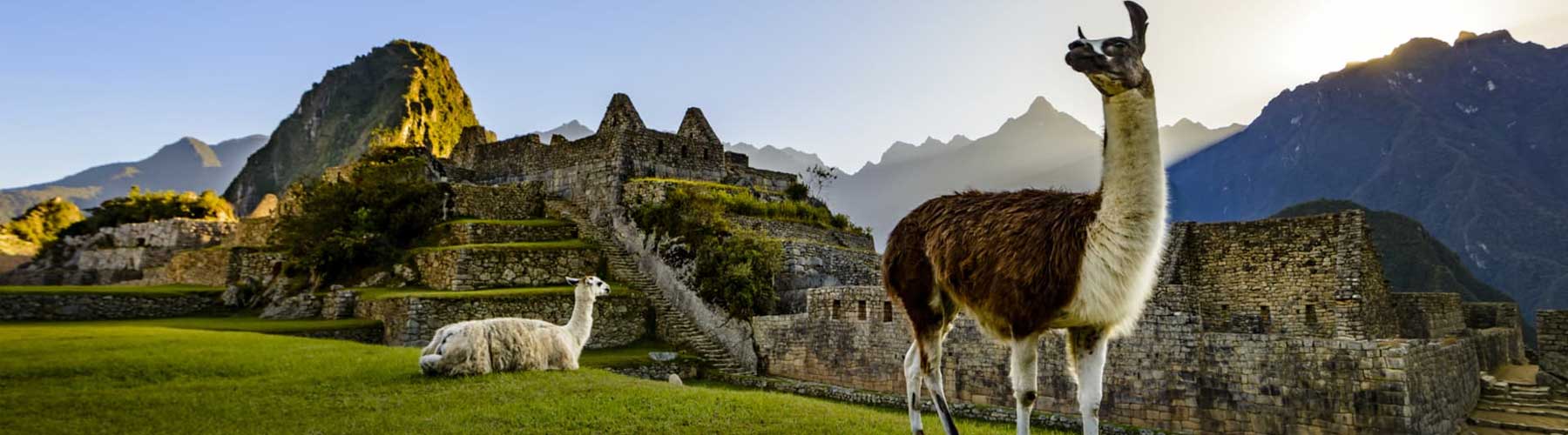 Machu Picchu is the main attraction of Peru