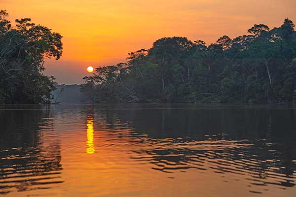 Explore Pacaya Samiria National Reserve