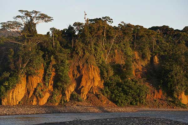  Trekking across amazon jungle in Manu National Park or Manu Biosphere 