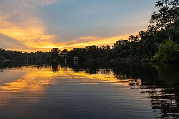  Night walks for luxury travelers to Manu National Park near to Paucartambo 