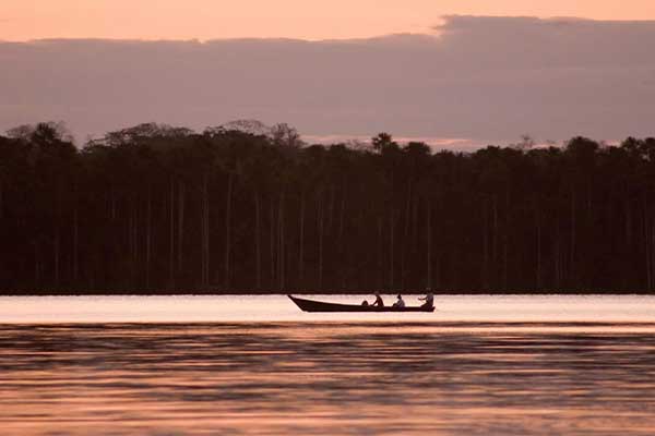  Tambopata Research Center located in Puerto Maldonado at the sunset 