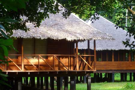  Manu Wildlife Center Comfort Accommodation in National Park