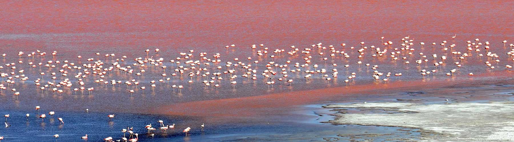 Uyuni Salt Flats the main attractions of Bolivia