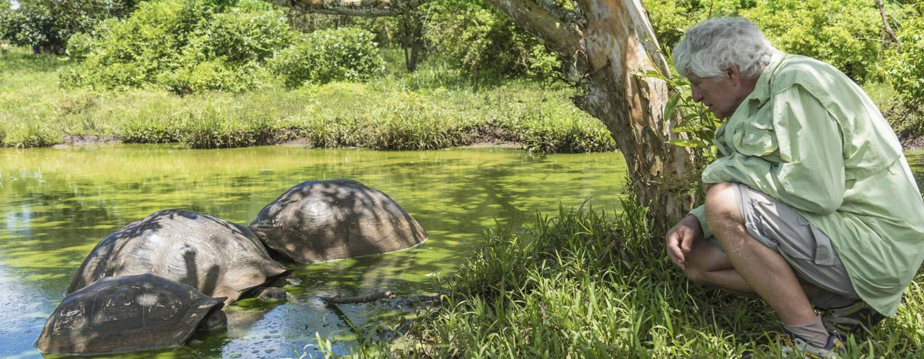  A man enjoyed, Experience in Galapagos with turtles