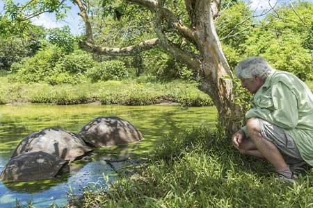 A man enjoyed, Experience in Galapagos with turtles