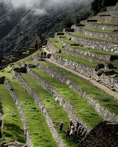 Terrazas in Machu Picchu