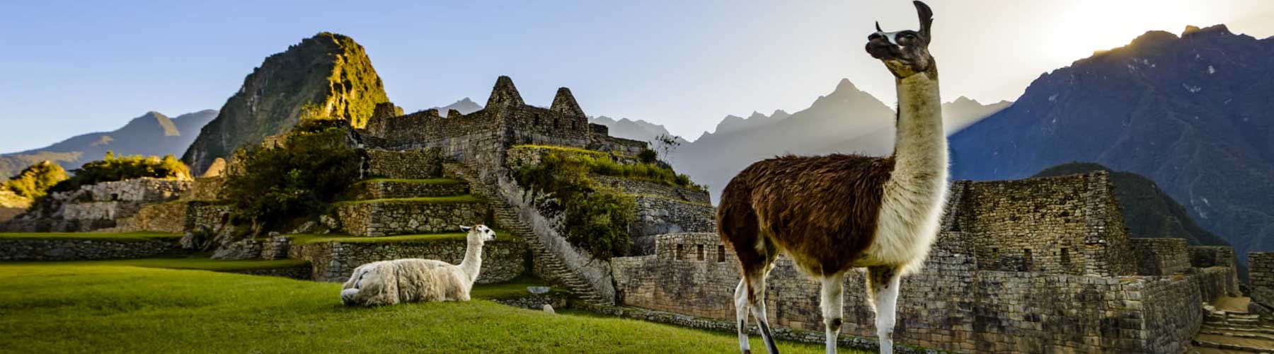  Machu Picchu is the main attraction of Peru