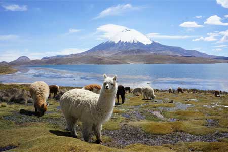  High Andes of Bolivia